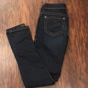 Daytrip Skinny Jeans